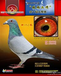܊     0931546-15