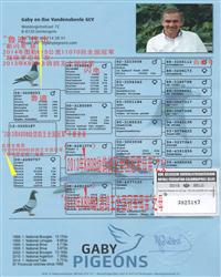 Ѫy(tng)