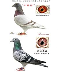 游ĸ游ĸ