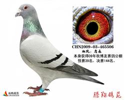 游