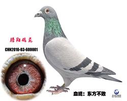H|HֱO