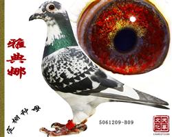 ŵ     D(zhun)׌