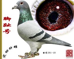 _ֺ̖(ho)