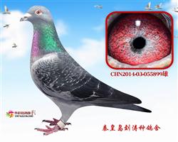 14ػʍu蹫Qِ154