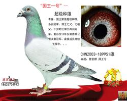 �游--�������š���