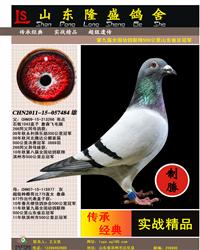 ����ղɭ��ë��