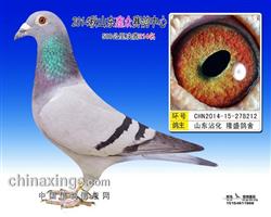 ĸ�׸Ǳ�����