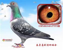 16BPC105H