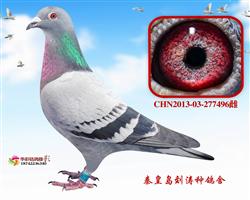 16B(du)C123ĸH