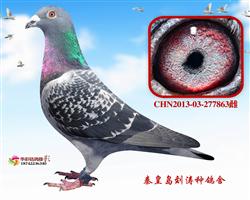 16B(du)52041ĸH