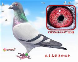 16B52047H