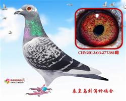 16B52047ĸH