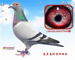 16B520101ĸH