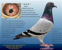 ڡѪx/Ҡͽƣŵȣ