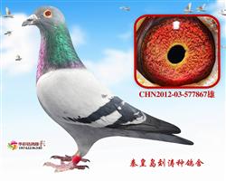 16B꠵P283