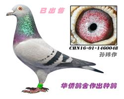 ��������˹ղɭ048��