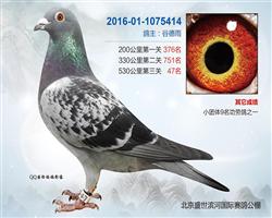 2016ʢӹ47ۣ