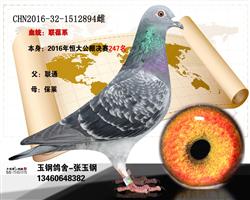 子代恒大247名
