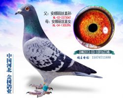 zֱOzֱŮ111