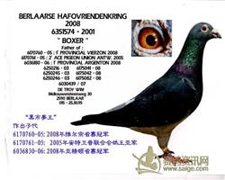 ���游��Ƭ