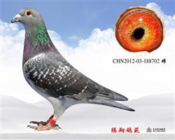 һʿH702