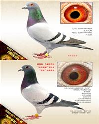 Ѫy(tng)