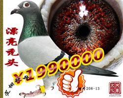 Ưd^