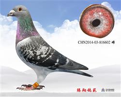 019Ů