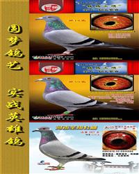 Ѫy(tng)