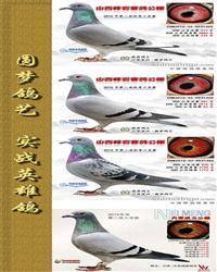 Ѫy(tng)