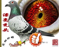 Ưd^