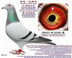 501S䌦