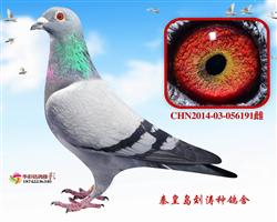 17ػʍuرȭh(hun)40018ĸH