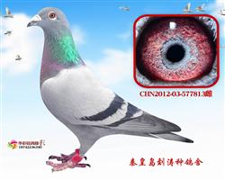 Ӣ813