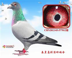 17걱ˇ498H