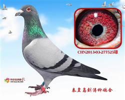 17걱ˇ500235