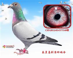 Ӣ540