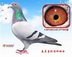 16걱ˇQِ403H