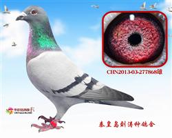 Ӣ868