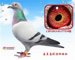 12괺Qِ42ܵ