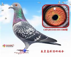 Ӣ580
