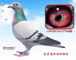 Ӣ444
