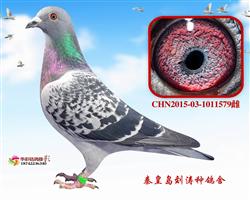 Ӣ579