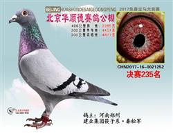 A혵¹Qِ235