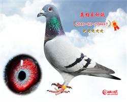 Ӣ657