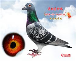 17ػʍupP(gun)رȭh(hun)C25H