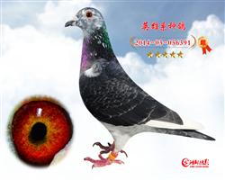 Ӣ