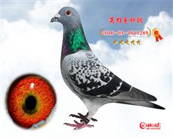 13||I(y)Qِ܊ȫ