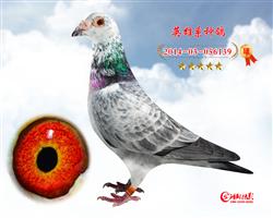 Ӣ139
