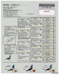 gѪy(tng)